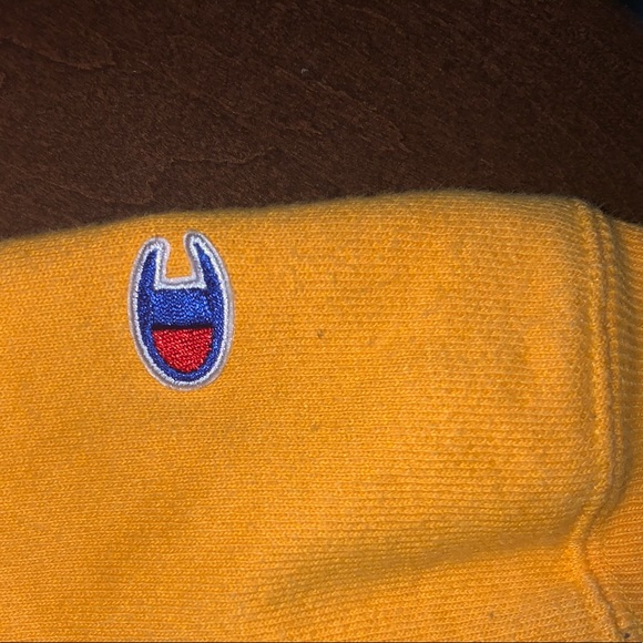 Authentic Champion Hoodie - Picture 2 of 3